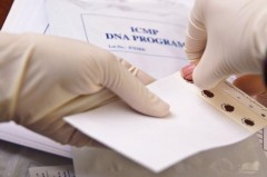 Donating a Blood Sample